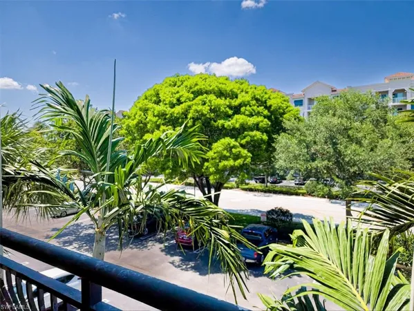 a view of a plant in a garden