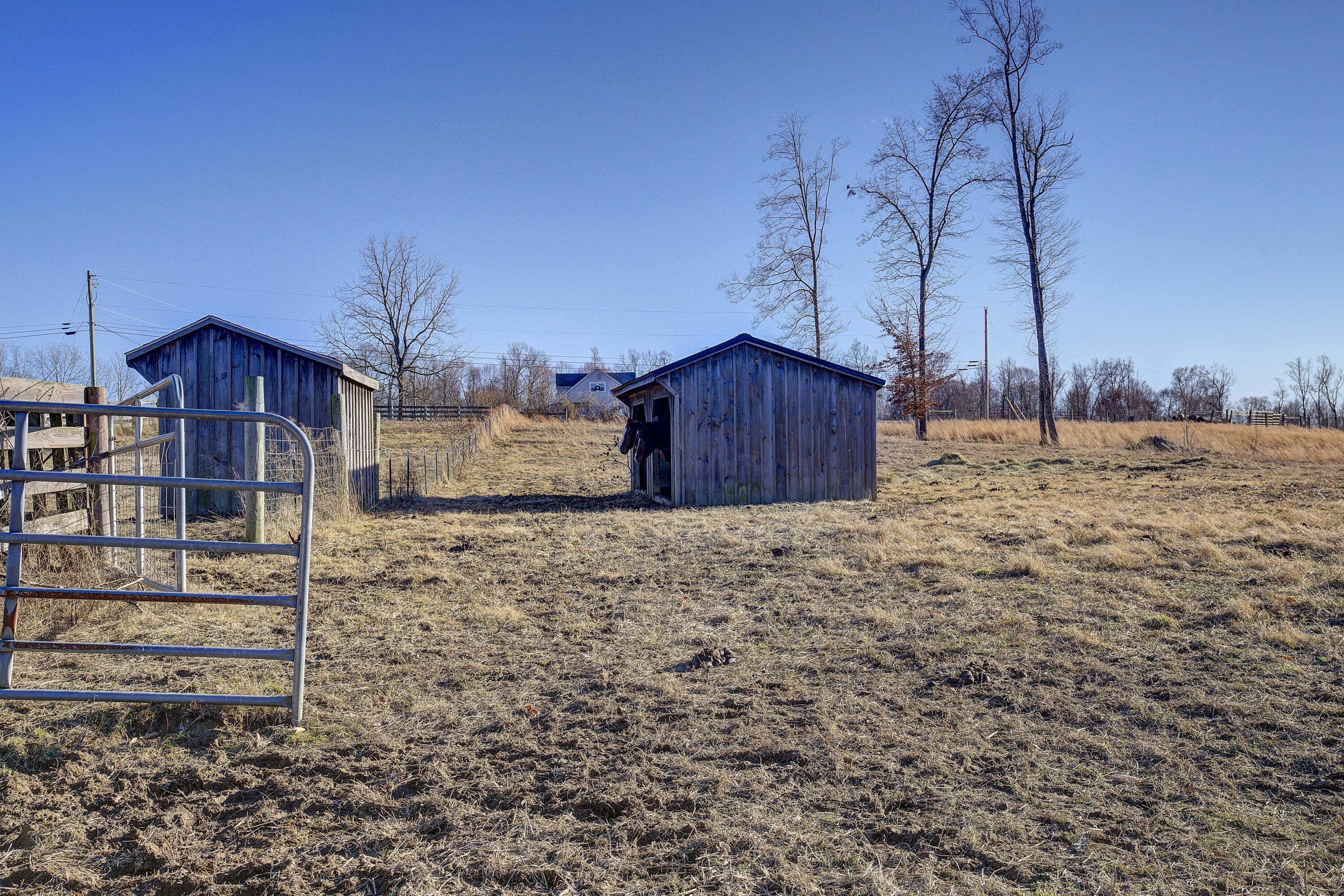 445 Walling Road Piney Flats, TN 37686 - Photo 65 of 92 Walling-60