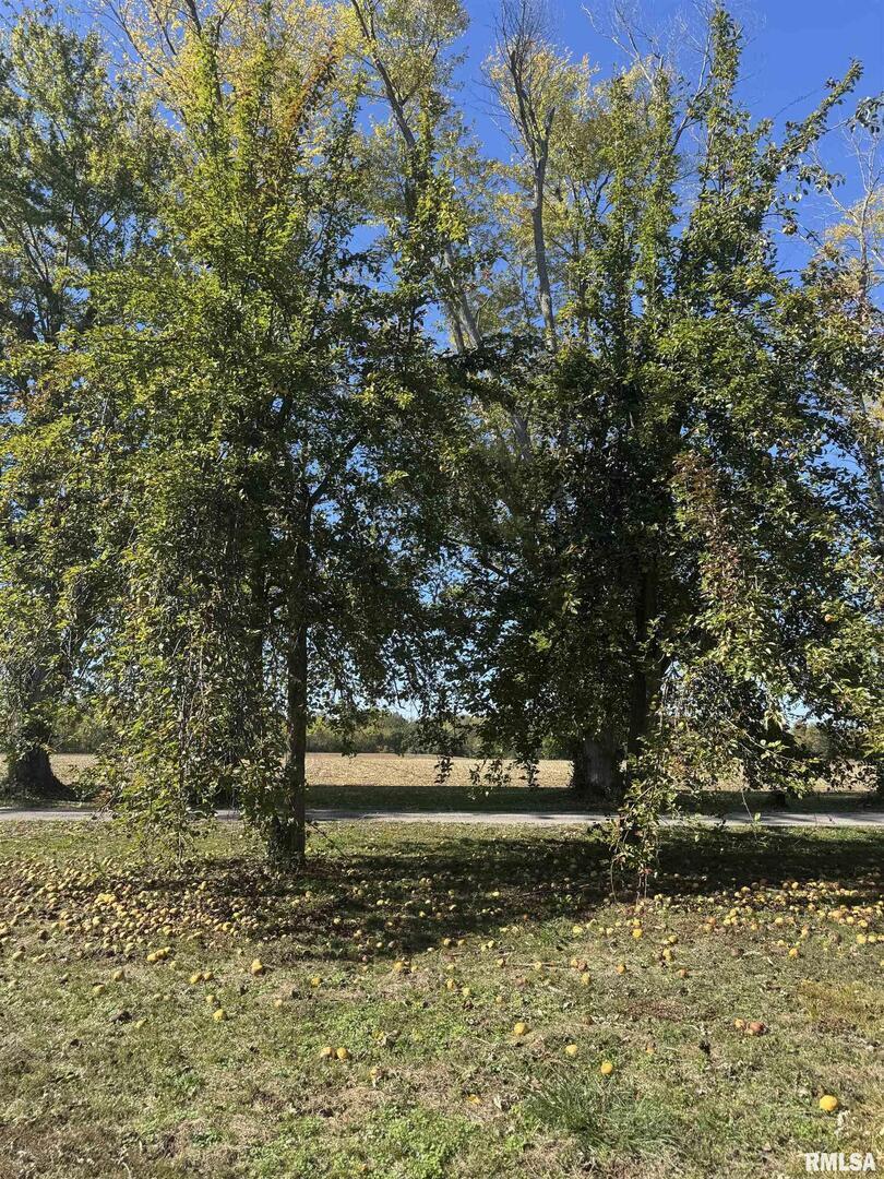 3526 Kendale Acres Road Tamaroa, IL 62888 - Photo 36 of 41