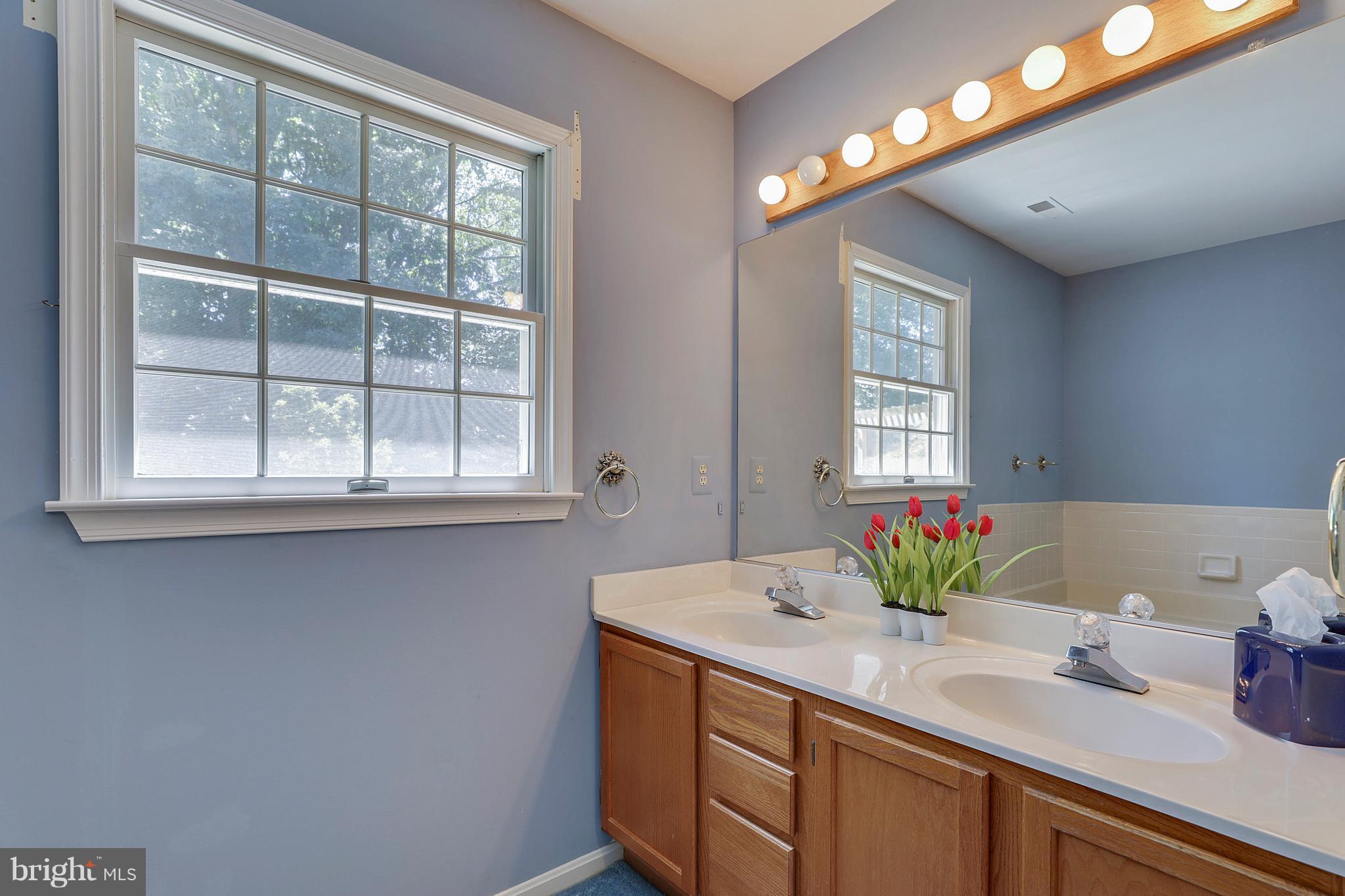 519 Coover Road Annapolis, MD 21401 - Photo 8 of 30 Double Vanity in Master Bath