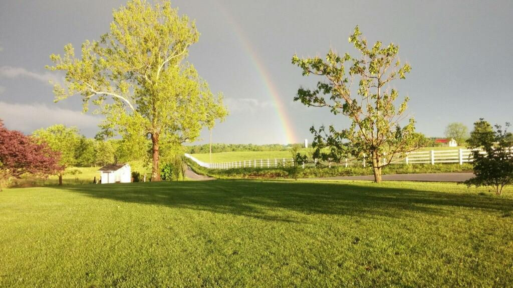 705 Charlie Norris Road Richmond, KY 40475 - Photo 43 of 46 Photo 43