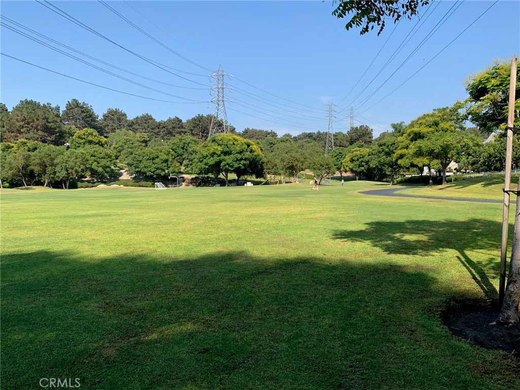 15 Elmbrook, Unit 52 Aliso Viejo, CA 92656 - Photo 9 of 10 a view of a big yard with plants and large trees