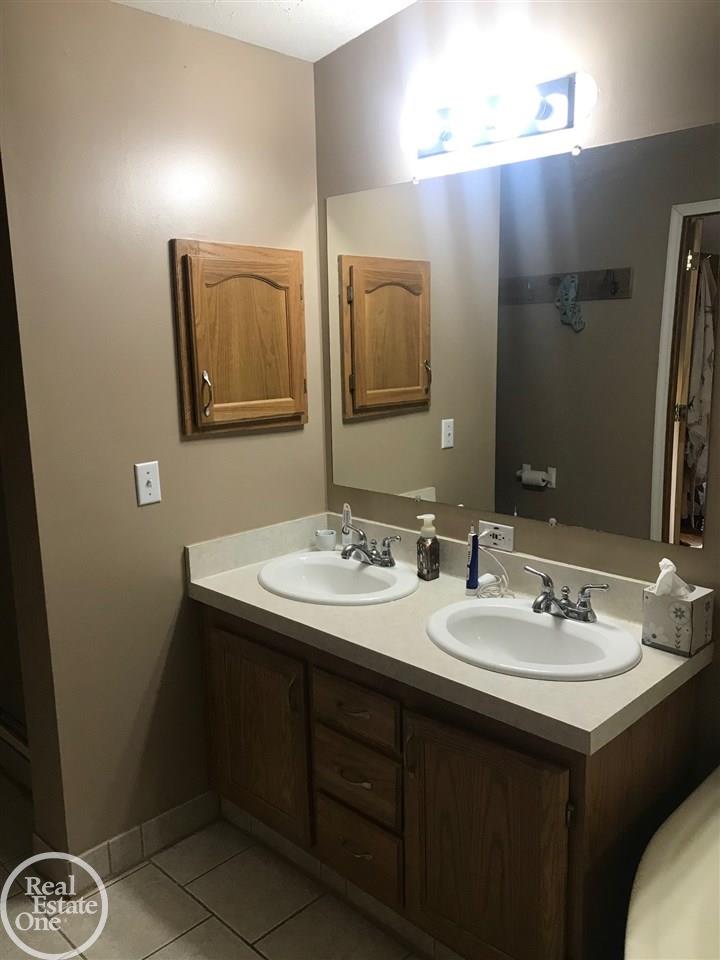 8754 Marr Road Almont, MI 48003 - Photo 21 of 40 Master Suite Double Sinks
