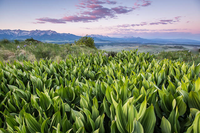 Tbd East Tbd E Hull Ridge Road Ridgway, CO 81432 - Photo 28 of 32 20130615-SJR19-30