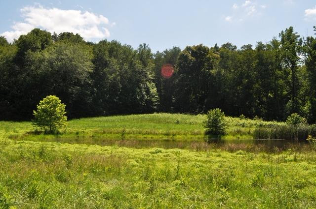 1516 Millstone Road Clay City, KY 40312 - Photo 15 of 16 Photo 15