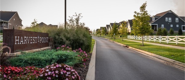 1203 June Wilde Ridge Spring Hill, TN 37174 - Photo 16 of 20 a view of a street with a flower garden