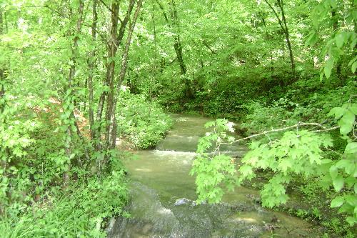 18 Wisdom Road Westpoint, TN 38486 - Photo 1 of 6