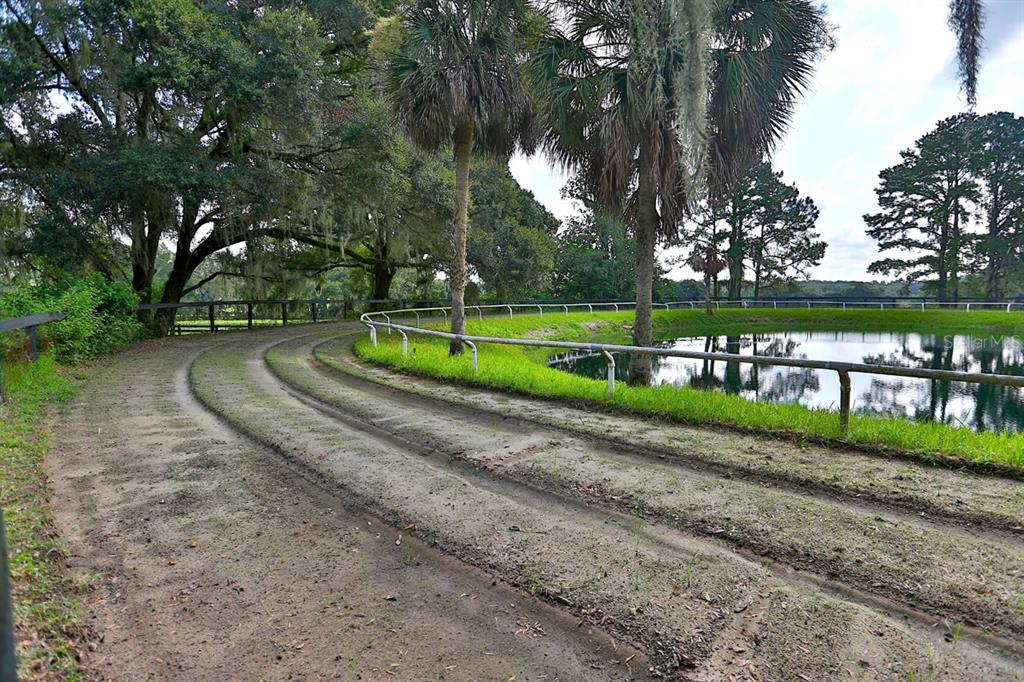 13450 Northwest Gainesville Road Reddick, FL 32686 - Photo 43 of 89 Gallery Image 43