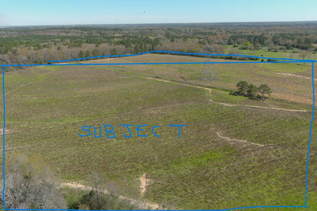0 Macedonia Ch Road Columbia, AL 36319 - Photo 8 of 61