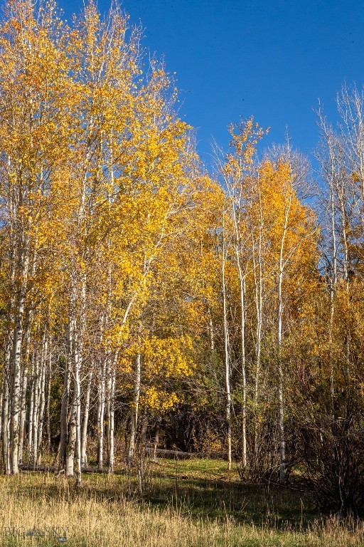 3007 Coyote Creek Road Dillon, MT 59725 - Photo 44 of 48 Gallery Image 44