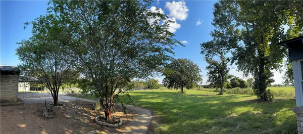 a view of a tree in a yard