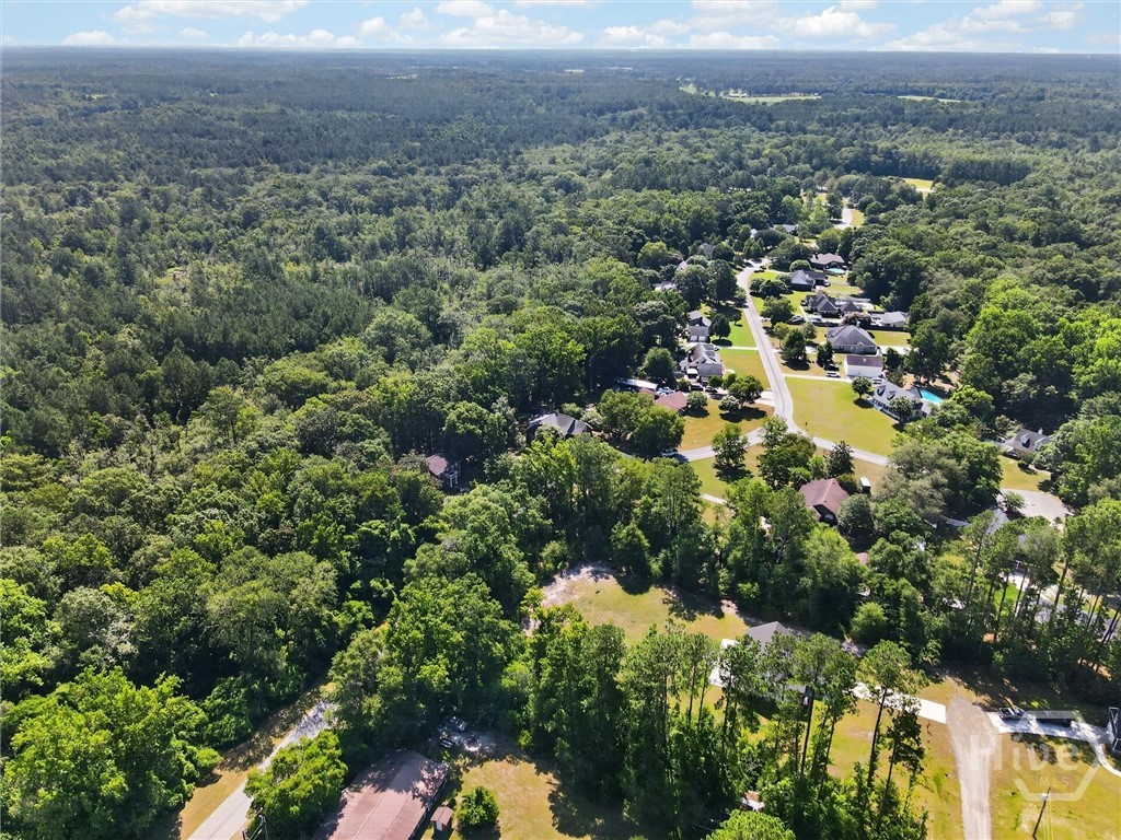 179 Hawk Hammock Road Springfield, GA 31329 - Photo 65 of 67