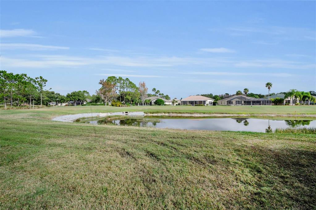 1326 Winding Willow Drive Trinity, FL 34655 - Photo 46 of 100