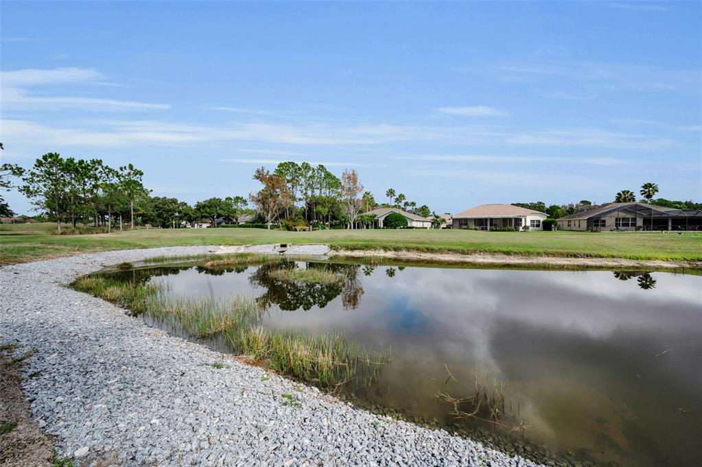 1326 Winding Willow Drive Trinity, FL 34655 - Photo 47 of 100 a view of a lake with a yard and large trees