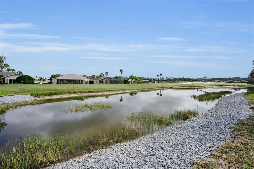 1326 Winding Willow Drive Trinity, FL 34655 - Photo 49 of 100 a view of a lake with houses in the back