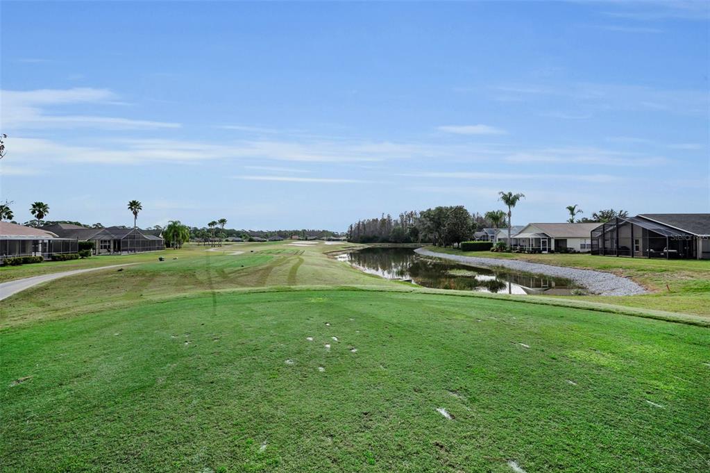 1326 Winding Willow Drive Trinity, FL 34655 - Photo 52 of 100 a view of a golf course with a lake
