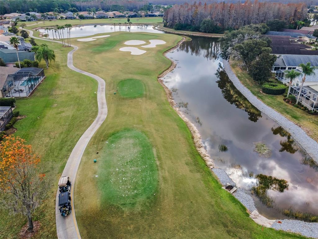 1326 Winding Willow Drive Trinity, FL 34655 - Photo 6 of 100 a view of a swimming pool with a yard