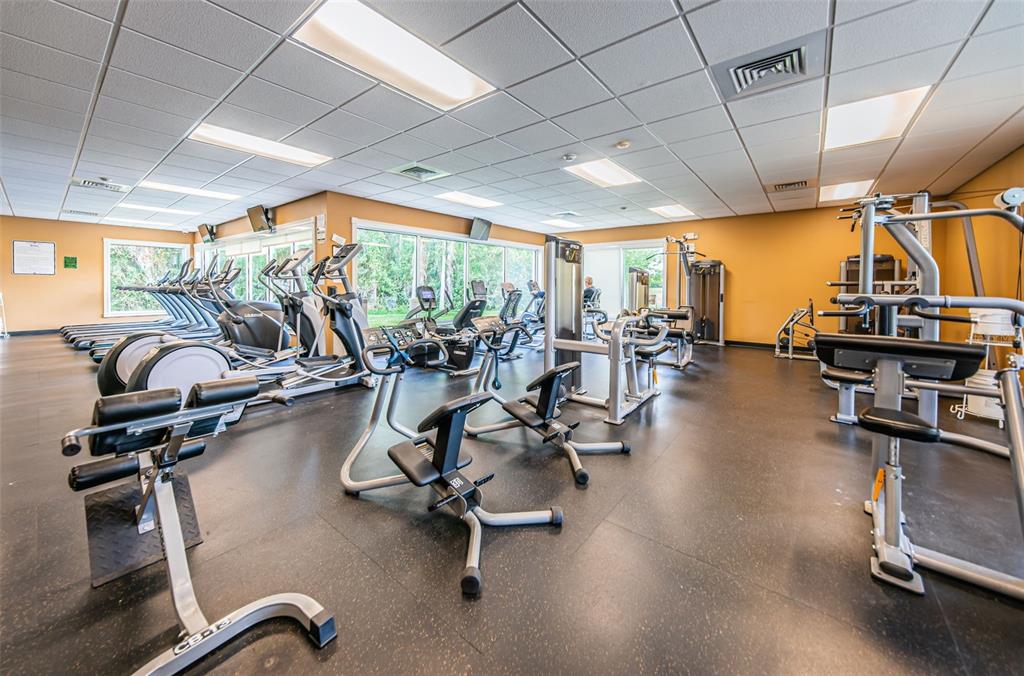 1326 Winding Willow Drive Trinity, FL 34655 - Photo 81 of 100 a view of a room with gym equipment