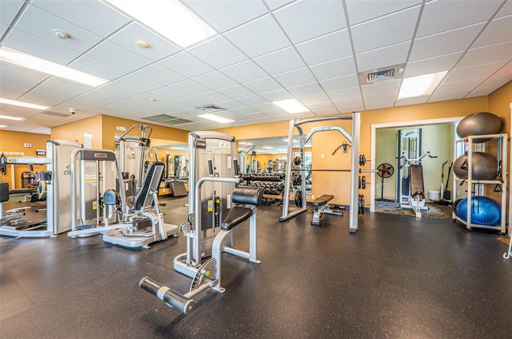 1326 Winding Willow Drive Trinity, FL 34655 - Photo 82 of 100 a view of a room with gym equipment
