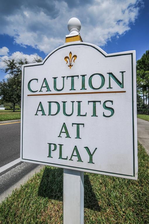 1326 Winding Willow Drive Trinity, FL 34655 - Photo 97 of 100