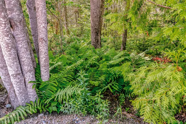 $699,000 | 19 Bracken Lane, Stockton Springs, ME 04981