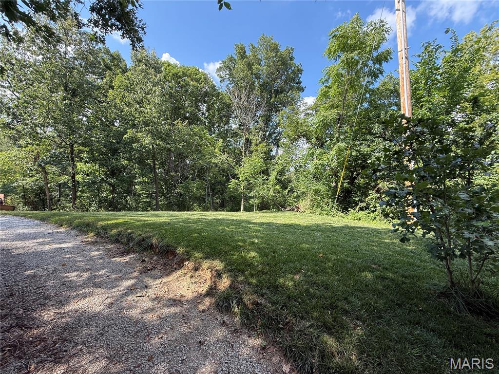 1133 Union School Road Ava, IL 62907 - Photo 8 of 46