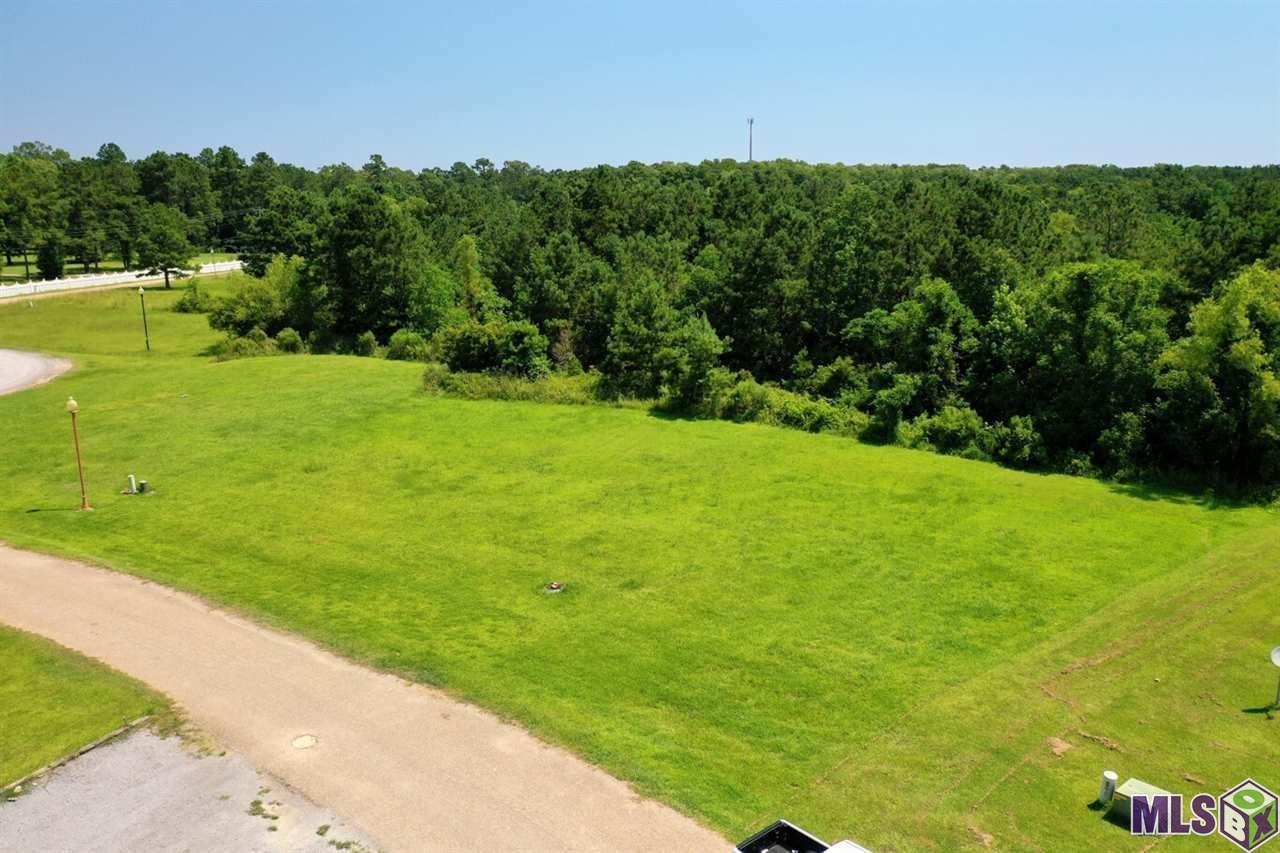 17270 Tchula Drive Springfield, LA 70462 - Photo 4 of 5 Right View of Lot