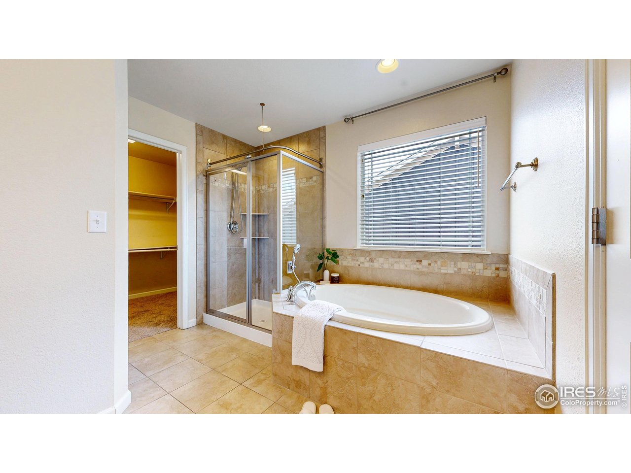 6748 Rainier Road Timnath, CO 80547 - Photo 16 of 34 a bathroom with a tub a sink and a window