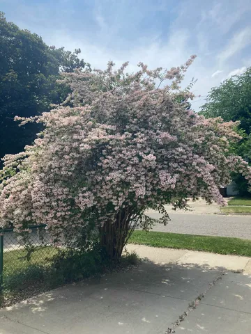 $286,855 | 1706 Autumn Lane, Lansing, MI 48912