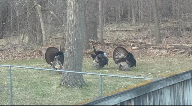 $286,855 | 1706 Autumn Lane, Lansing, MI 48912