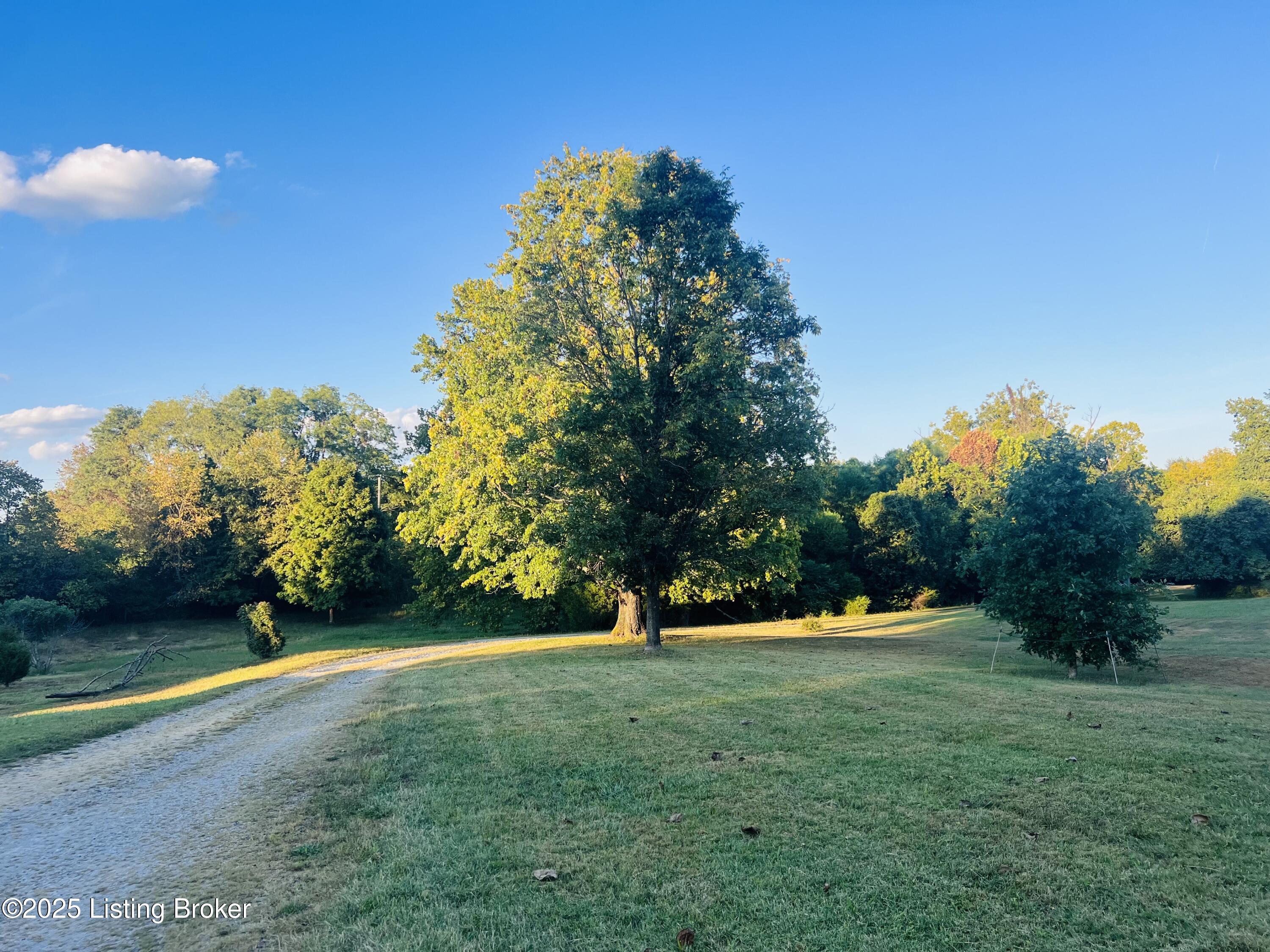 9101 Fairmount Road Louisville, KY 40291 - Photo 39 of 53 IMG_6371 (1)