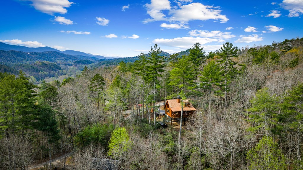 9 Dean Court Blue Ridge, GA 30513 - Photo 14 of 82