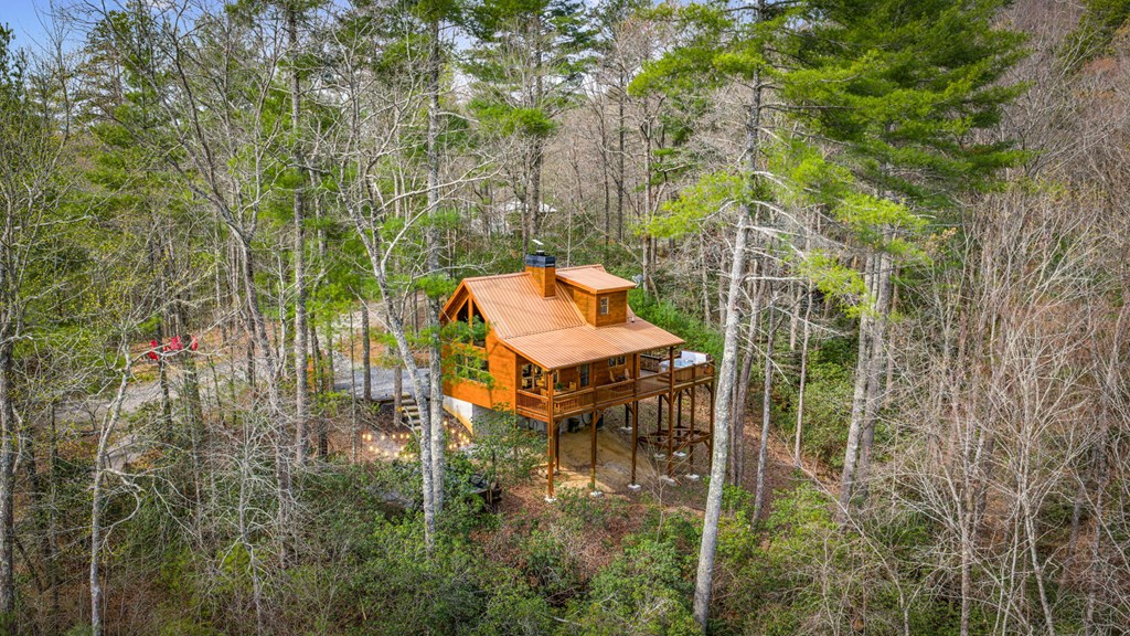 9 Dean Court Blue Ridge, GA 30513 - Photo 15 of 82