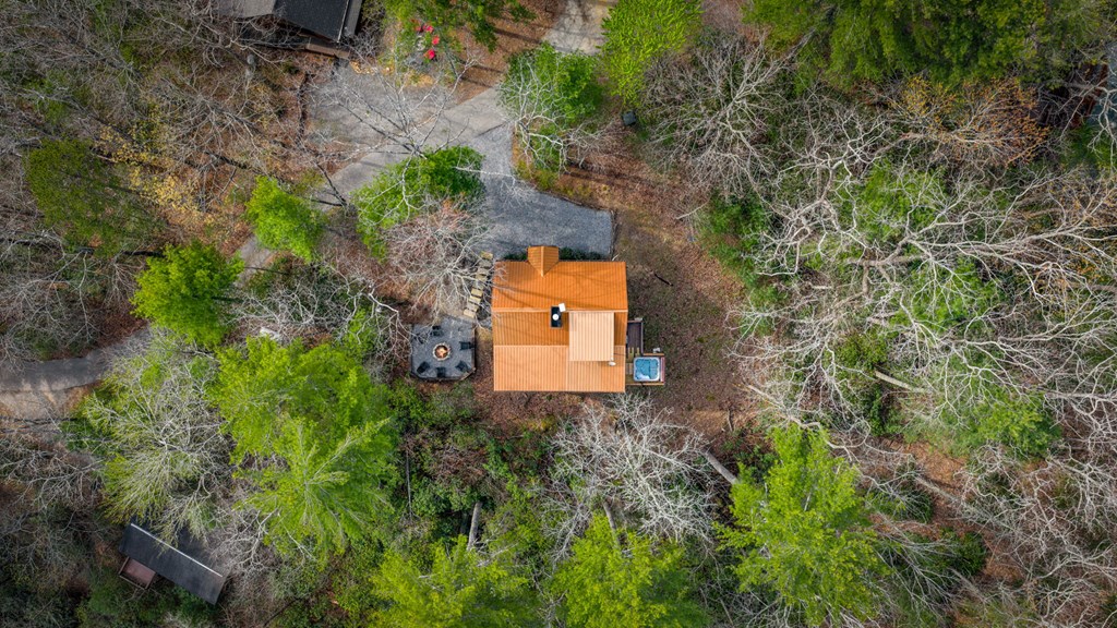 9 Dean Court Blue Ridge, GA 30513 - Photo 16 of 82