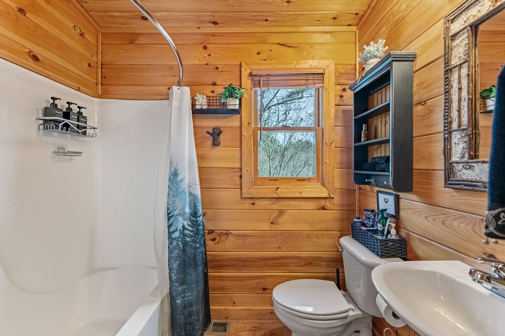 9 Dean Court Blue Ridge, GA 30513 - Photo 55 of 82