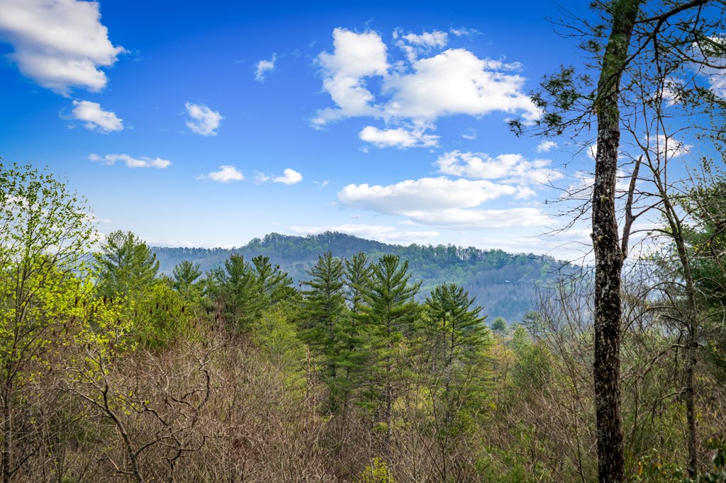 9 Dean Court Blue Ridge, GA 30513 - Photo 59 of 82