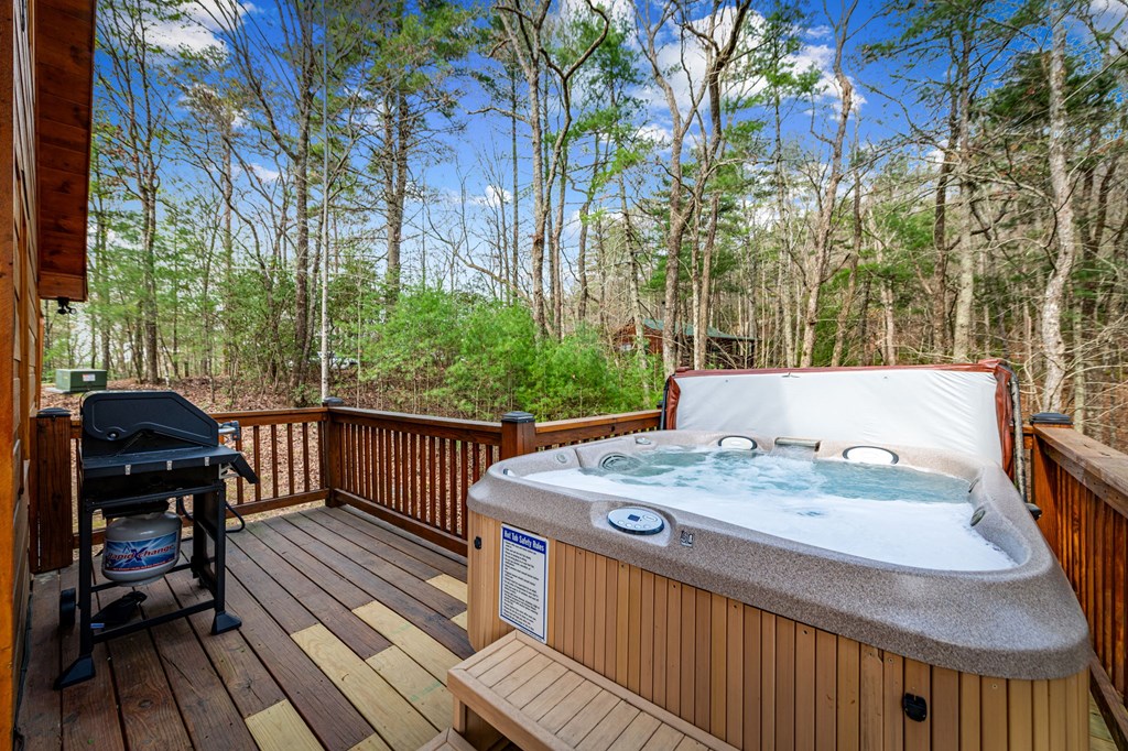9 Dean Court Blue Ridge, GA 30513 - Photo 65 of 82