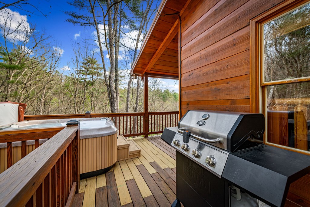 9 Dean Court Blue Ridge, GA 30513 - Photo 66 of 82