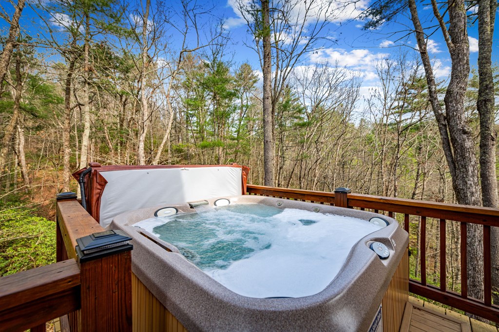 9 Dean Court Blue Ridge, GA 30513 - Photo 68 of 82