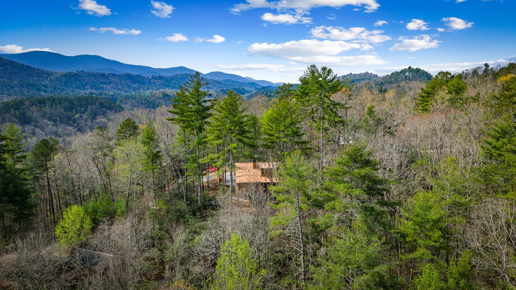 9 Dean Court Blue Ridge, GA 30513 - Photo 7 of 82