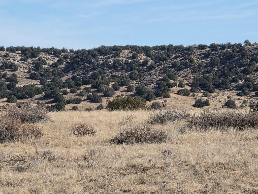 Tbd Lot 12 Tbd Road Pueblo, CO 81005 - Photo 3 of 7