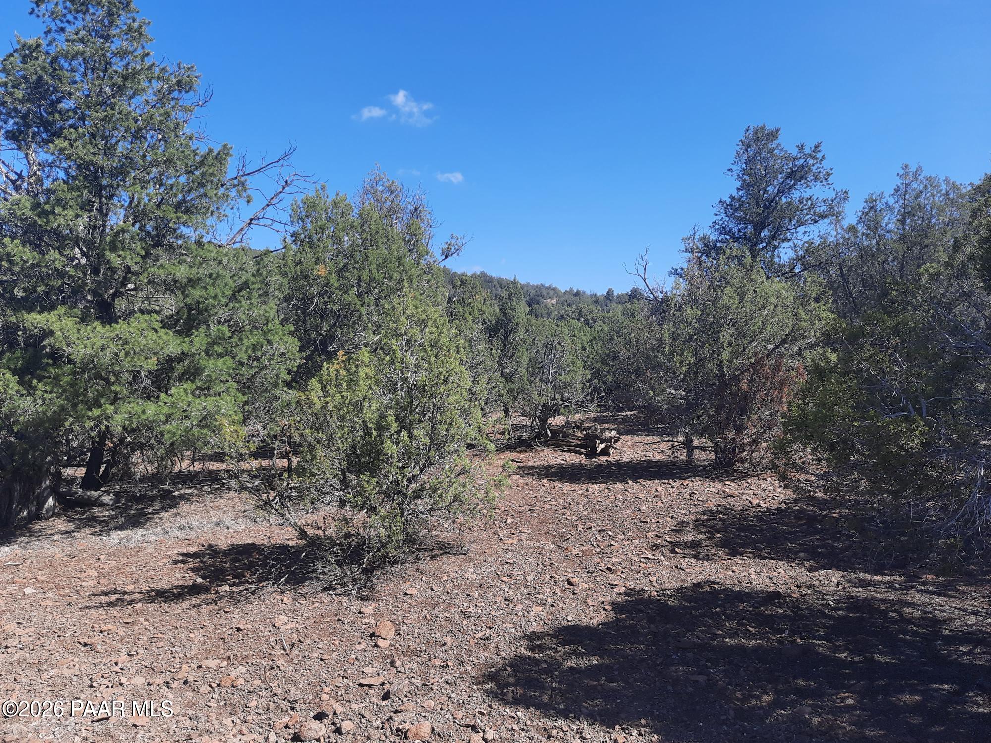 Lot 860 Fort Rock Road Kingman, AZ 86401 - Photo 2 of 20 a view of a backyard with large trees