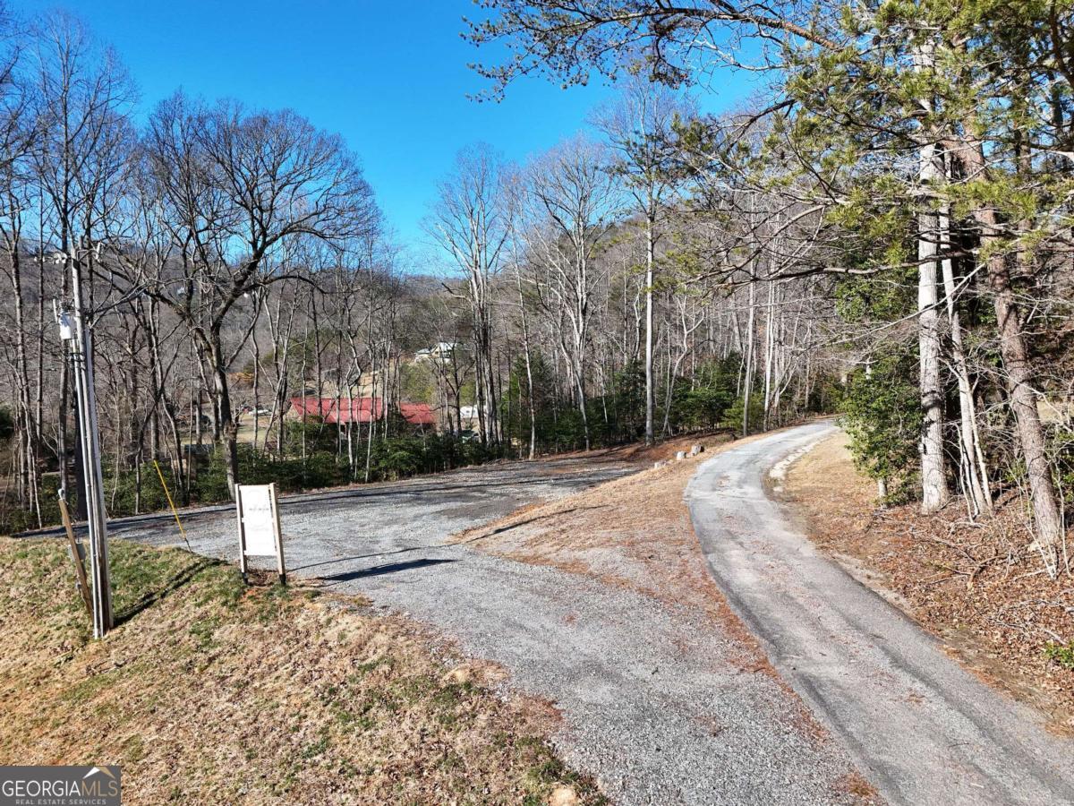 Tract 1 Bauer Road Hiawassee, GA 30546 - Photo 1 of 14 a view of a park with pathway