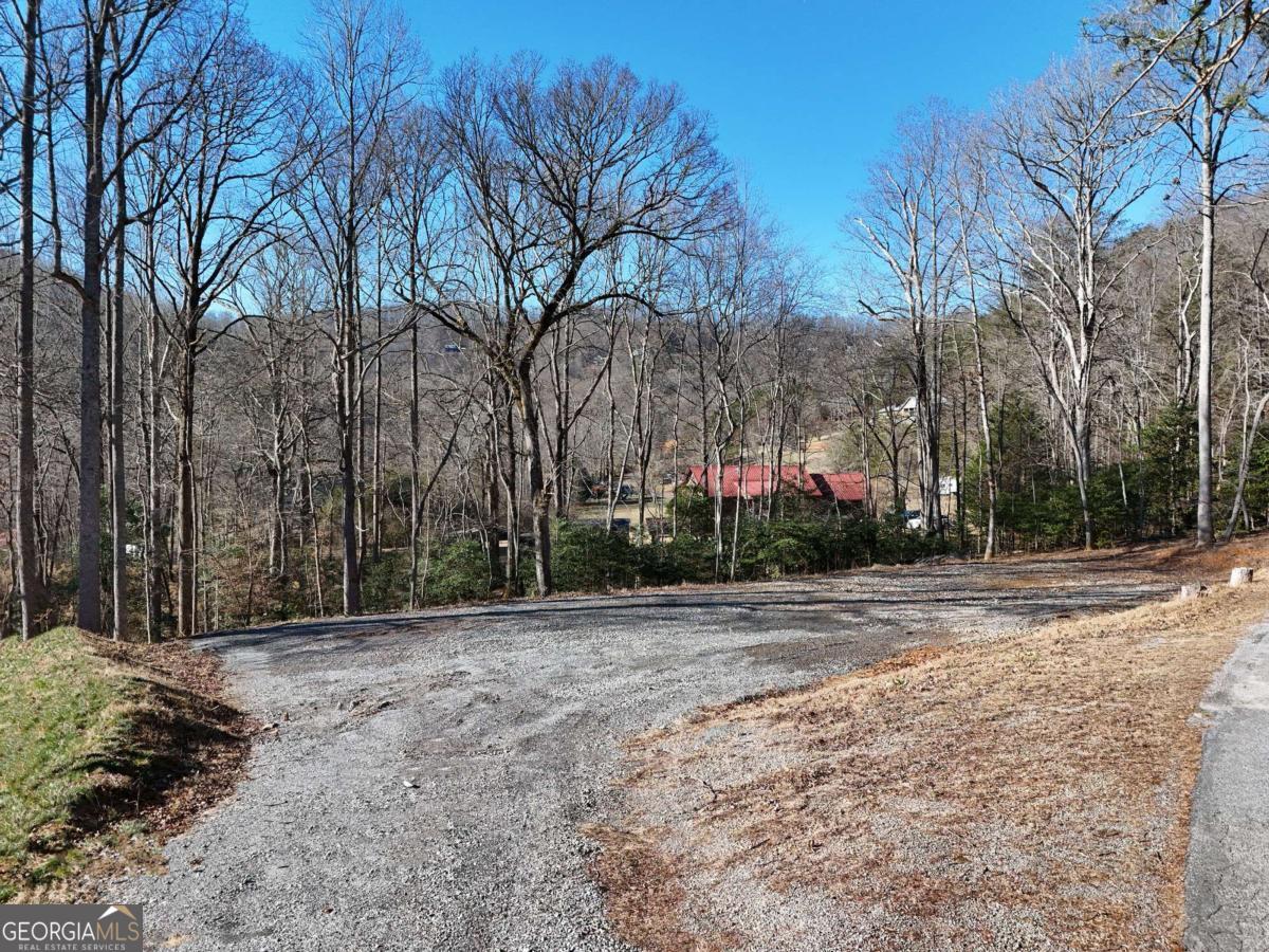 Tract 1 Bauer Road Hiawassee, GA 30546 - Photo 2 of 14 a view of a backyard of a house