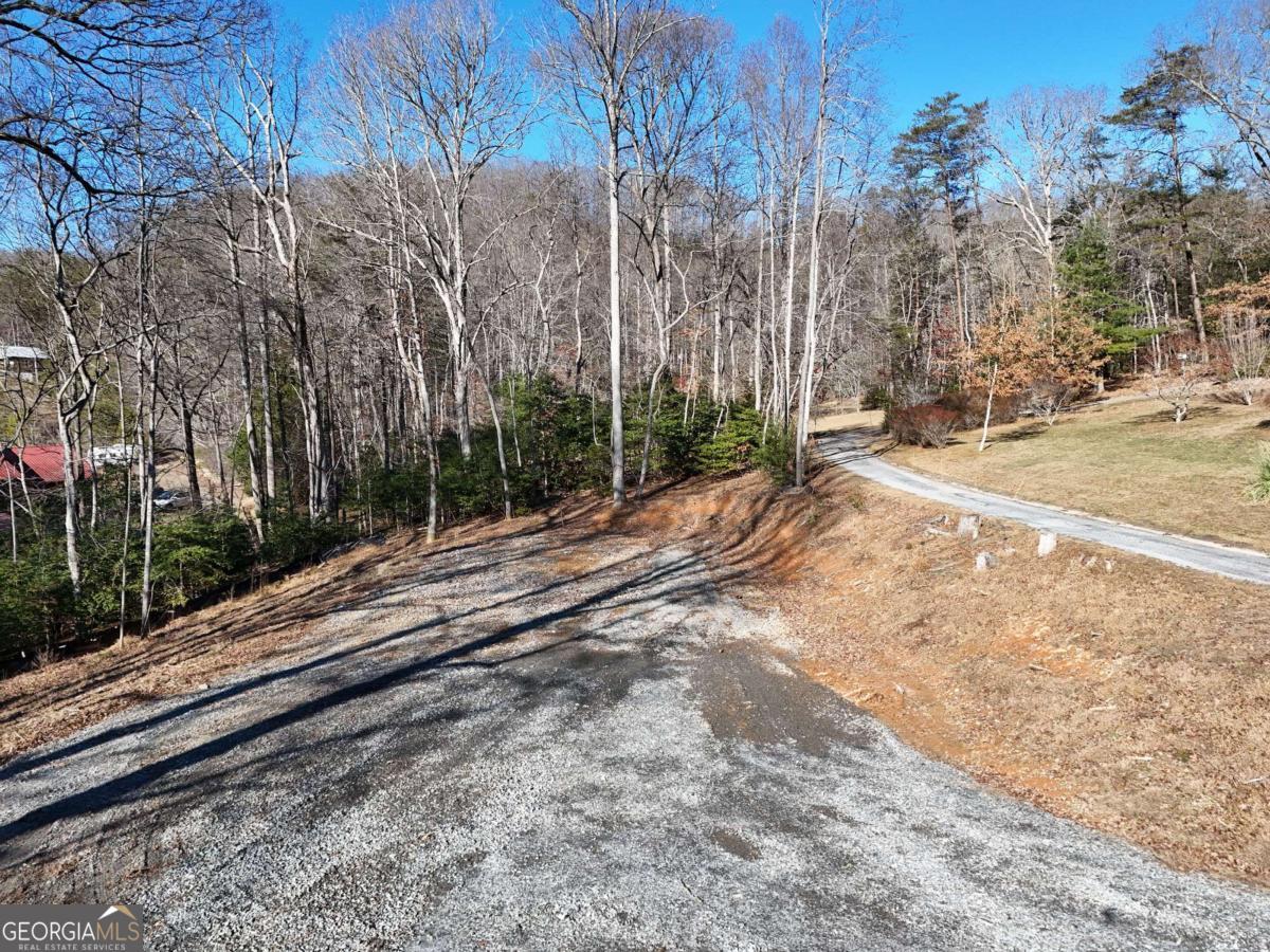 Tract 1 Bauer Road Hiawassee, GA 30546 - Photo 3 of 14 a view of a yard with large trees