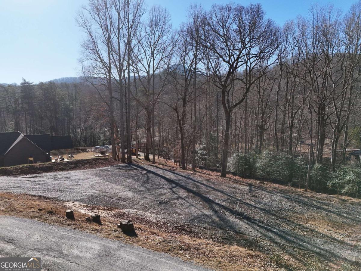Tract 1 Bauer Road Hiawassee, GA 30546 - Photo 4 of 14 a view of a backyard of the house