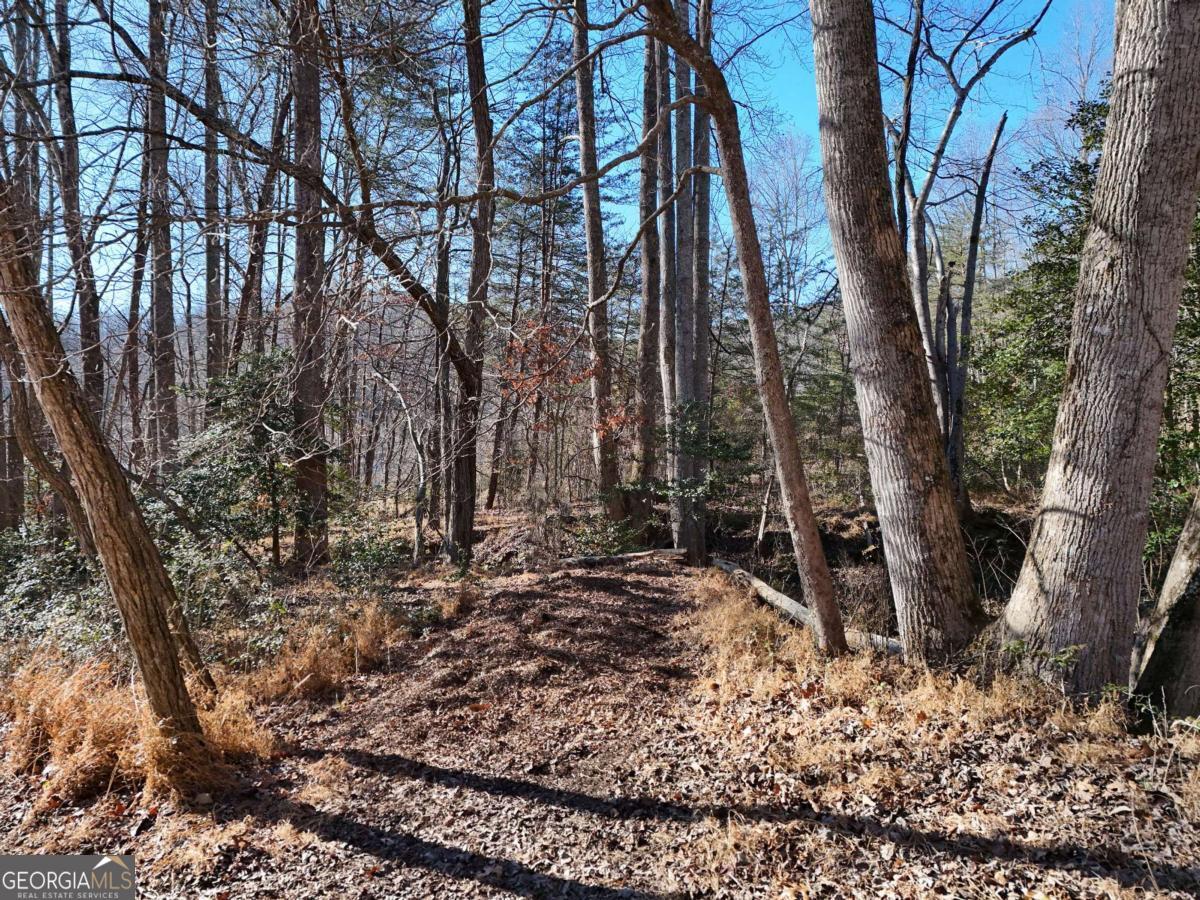Tract 1 Bauer Road Hiawassee, GA 30546 - Photo 5 of 14 a backyard of a house with lots of green space