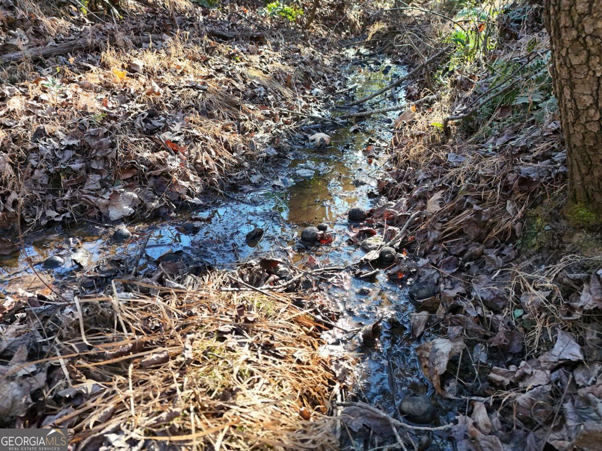 Tract 1 Bauer Road Hiawassee, GA 30546 - Photo 6 of 14