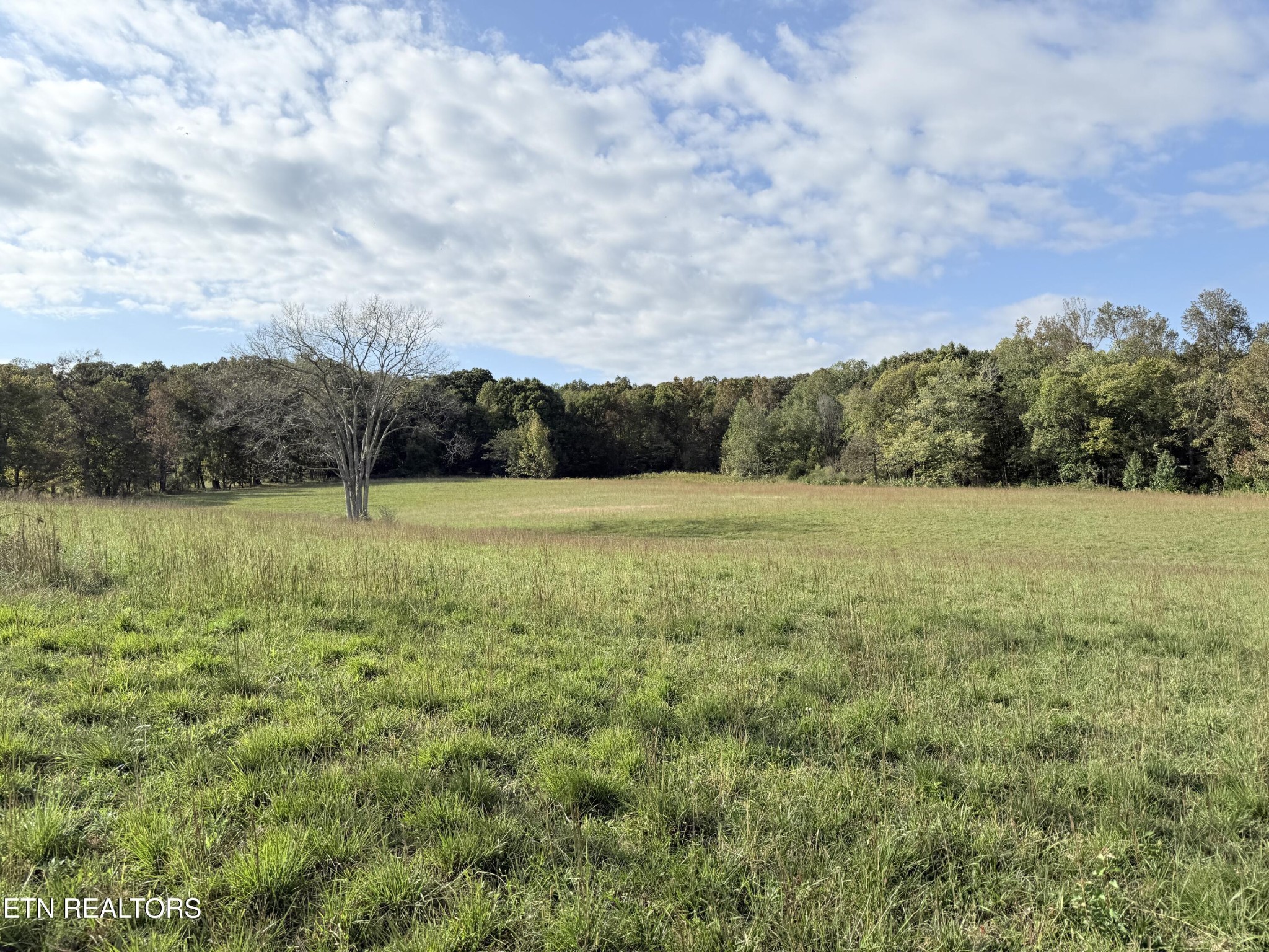 1140 Paint Rock Valley Road Philadelphia, TN 37846 - Photo 1 of 5 Gallery Image 1