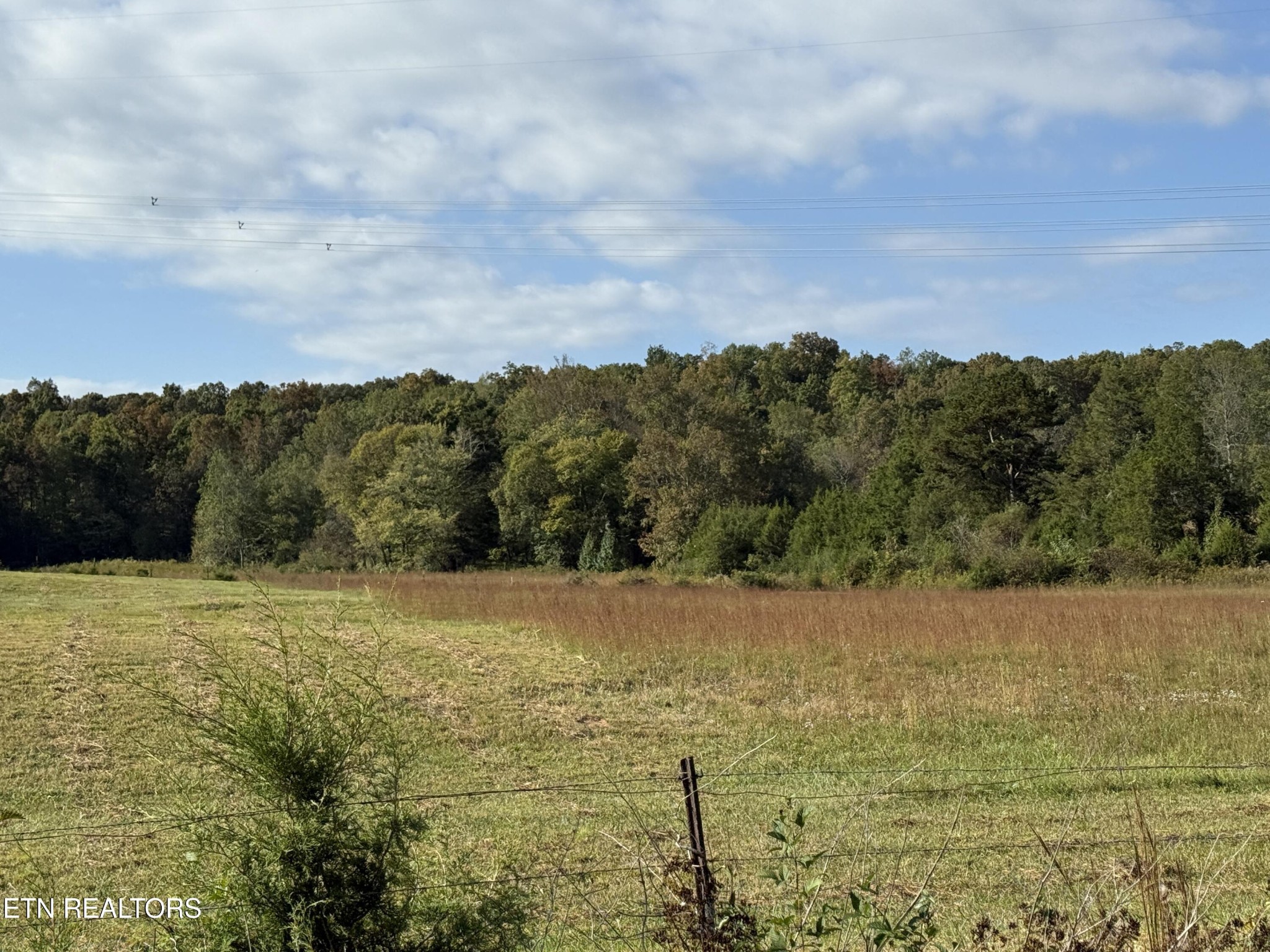 1140 Paint Rock Valley Road Philadelphia, TN 37846 - Photo 4 of 5 Gallery Image 4